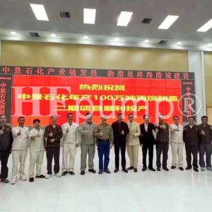中景石化100万吨/年PDH装置API 610化工流程泵应用