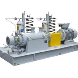 BA化工流程泵 (BB1～BB5系列) - BB5型